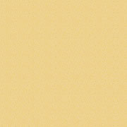 RJ-3021-07
