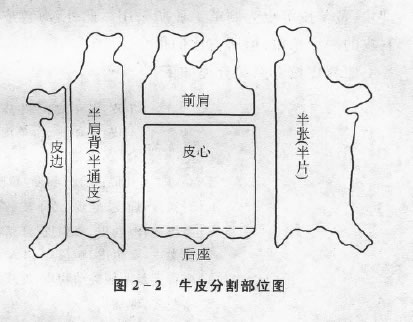 牛皮分割部位圖